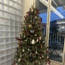 신봉동 | 신봉동외식타운카페추천 로스텔라 신봉동브런치맛집 내돈내산 솔직후기