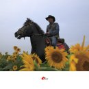 가가홀스 이미지