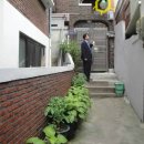 금호초등학교 앞 이미지