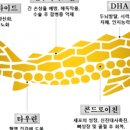 스톨존바이오(주) - 11589 | 스톨존바이오(주)
