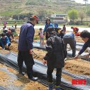 창암농장 이미지