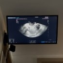 홍산의원 이미지