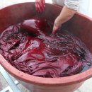 천연누리 이미지