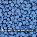 생1리 이미지
