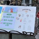 옆집강아지 | 카페] 별내 해피존: 강아지들 마음껏 뛰어놀 수 있는...카페 대만족 후기 (소형/대형견 분리 운동장)