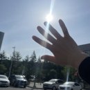 다이소 대전한밭대점 이미지