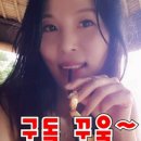 사계절다육농장 이미지