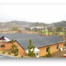 송이나라 이미지