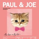 캣 소사이어티 이미지