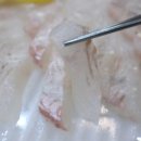 싱싱수산