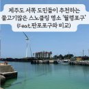 월령상점 | 제주 월령포구 / 제주도민이 추천한 물고기 많은 스노클링 포인트 (준비물, 판포포구와 비교 후기)