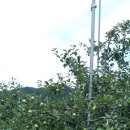 박달재농원 이미지