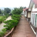 둘레길펜션청솔 이미지