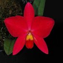 친구야 놀자 이미지