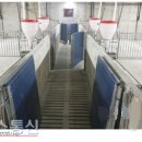 계림축산 이미지