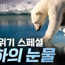 프라임사이언스 이미지