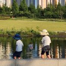 여울어린이공원 | 동탄 물놀이 여울공원 워터리본 준비물 꿀팁 총정리