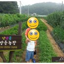 상운농장 네이버블로그