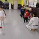 용호태권도 이미지