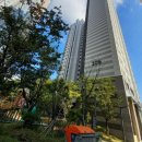 지에스25 고대안산병원점 이미지