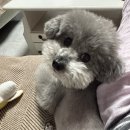 훅 이미지