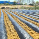 병만농장 이미지