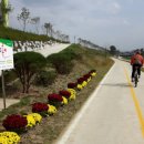 달서천변 이미지