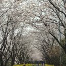 비욘드게스트하우스 이미지