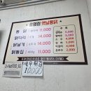 송엘림