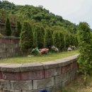 무궁화공원 | 무궁화공원묘원 방문 후기!!자연 속에서 마음이 편안해지는 수목장추천