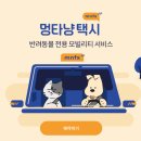 멍타냥택시 이미지