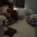 영화유치원