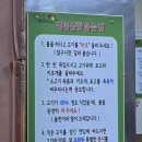 장흥축산업협동조합 | 장흥 토요시장 삼합 맛집, 명희네와 뚝방한우의 한우와 키조개, 표고버섯 장흥삼합 먹기