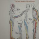 면역자연치유센터 이미지