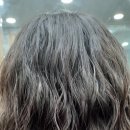 자르세헤어 이미지