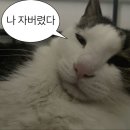 풀코스당구장 이미지