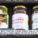 빈스구아바농장 네이버블로그