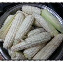 담벼락옥수수 이미지