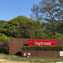 펫마루 - 시흥시 배곧전원로 40-49 | 소노펫 비발디파크 후기｜골드 객실, 플레이그라운드, 소노펫스포트 이벤트