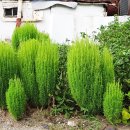 행복마을1호집 이미지