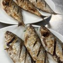 싱싱반찬 | 서천횟집 <원양호> 푸짐한 반찬과 싱싱한 회, 행복한 한 끼 후기