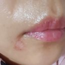 엘유라인업의원 이미지