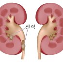 신석수산 네이버블로그