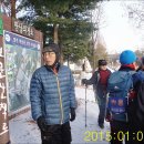 현충원 산책길 이미지