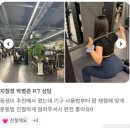 짐포레스트 이미지