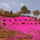 토옥동송어횟집