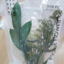 플라젠트(Flasent)