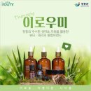 이로 뷰티