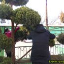 곡선초등학교 이미지