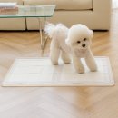 퍼펙트 하우스 이미지